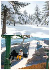 哈爾濱/延吉/長白山·冬季親子冰雪之旅