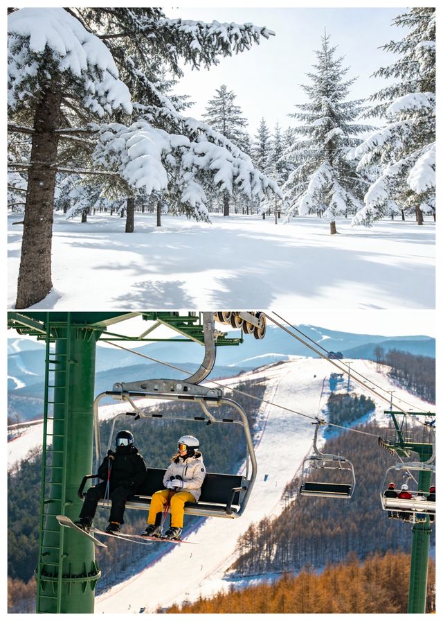 哈爾濱/延吉/長白山·冬季親子冰雪之旅