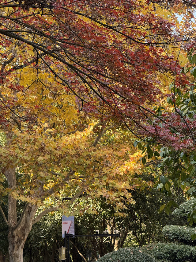 這裡不賣小商品｜「出售」最地道的義烏生活切片