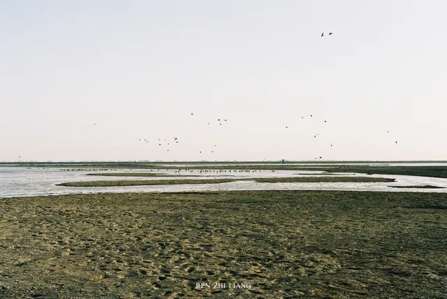 給北海流的候鳥拍組膠片|Portra400 給北海流的候鳥拍組膠片|Portra400