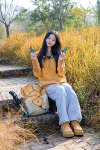 成都0.5h公交直達的秋日橘林徒步路線~#秋季去爬山南門