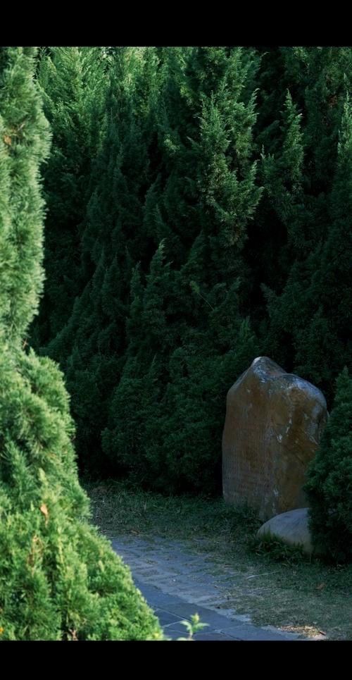 【深圳兩天一夜深度遊】中山公園 + 文天祥紀念公園 【深圳兩天一夜深度遊】中山公園 + 文天祥紀念公園