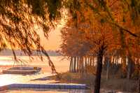 滴水湖北島,童話般秋色沉浸體驗