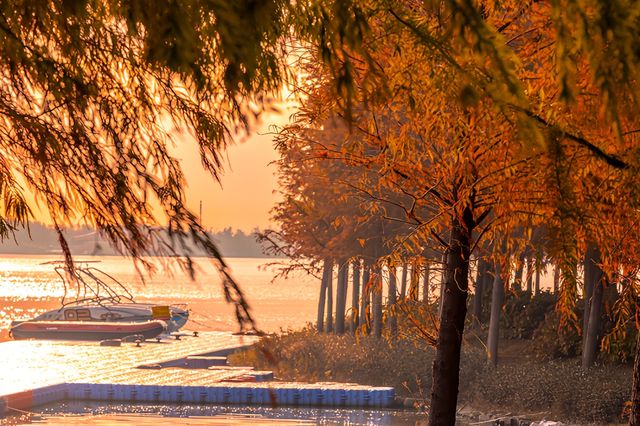 滴水湖北島,童話般秋色沉浸體驗 滴水湖北島,童話般秋色沉浸體驗