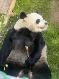 欒川不止老君山