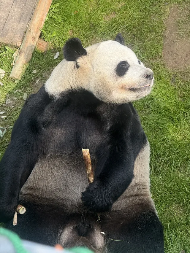 欒川不止老君山 欒川不止老君山