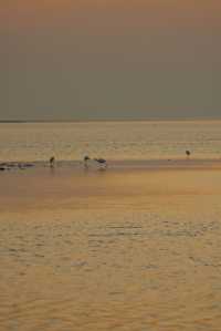 凌晨5點的北海銀灘，承包整片橘子海浪漫