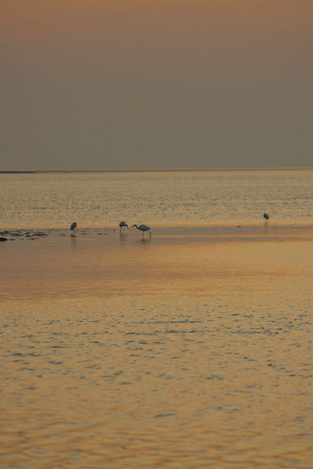 凌晨5點的北海銀灘，承包整片橘子海浪漫