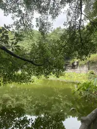 半山崖線鵝嶺棧道鵝嶺公園一站遊玩攻略