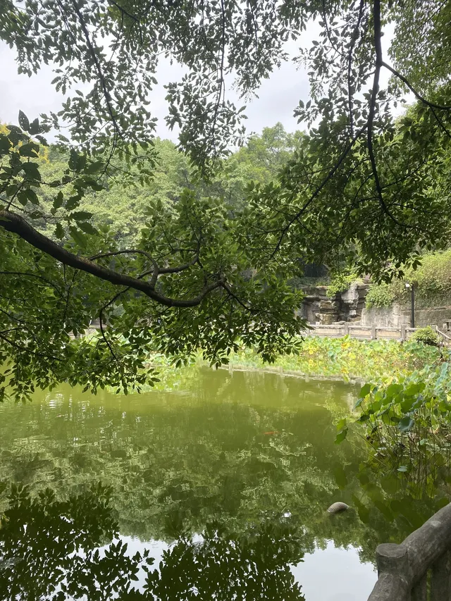 半山崖線鵝嶺棧道鵝嶺公園一站遊玩攻略