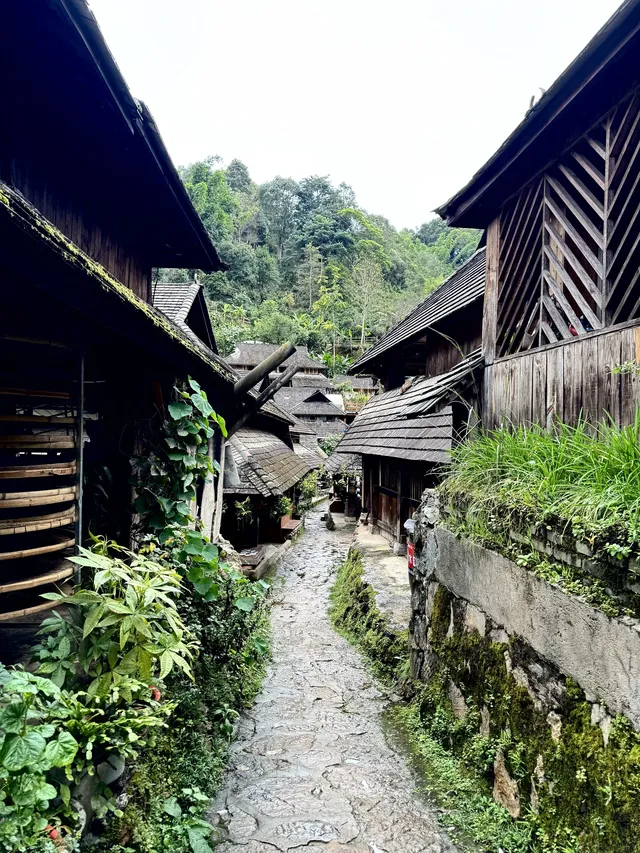 昆明大學生週末特種兵：景邁山24h住進傣家古