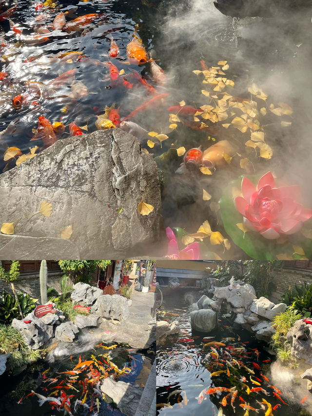 25.12.08打卡上海西林禪寺古塔的治癒系時光 25.12.08打卡上海西林禪寺古塔的治癒系時光