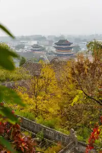 忻州秀容書院｜閱青瓦長卷，得半日秋閒