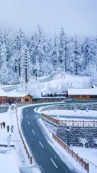 冬季的海螺溝！太值得去了！徒步溫泉簡直YYDS！！