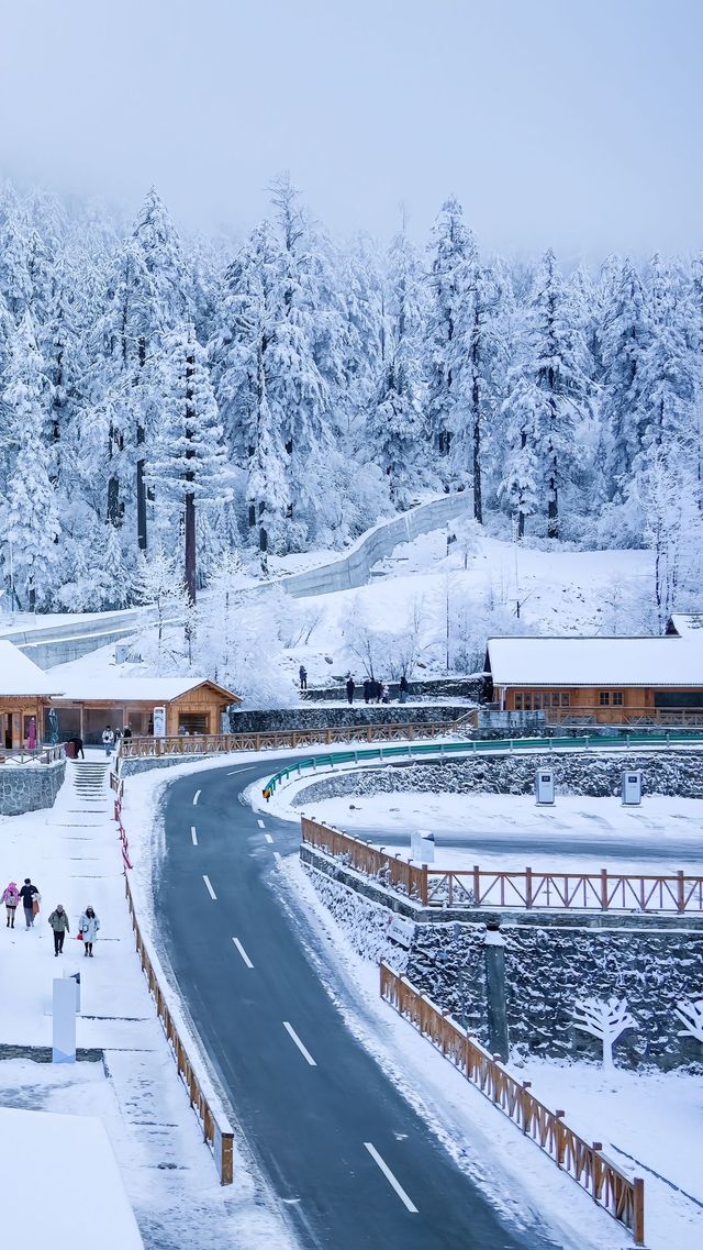 冬季的海螺溝！太值得去了！徒步溫泉簡直YYDS！！