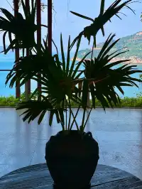 珠海封神酒店！阿麗拉把中式美學藏進山海