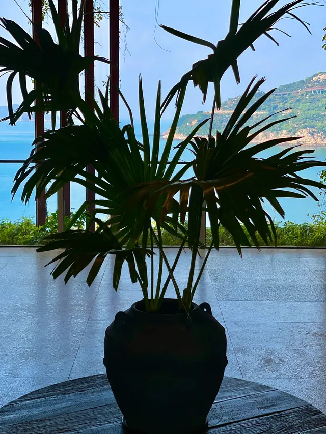 珠海封神酒店！阿麗拉把中式美學藏進山海