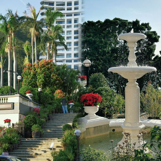 【全香港最治癒的聖誕,藏在淺水灣的樹下】 【全香港最治癒的聖誕,藏在淺水灣的樹下】