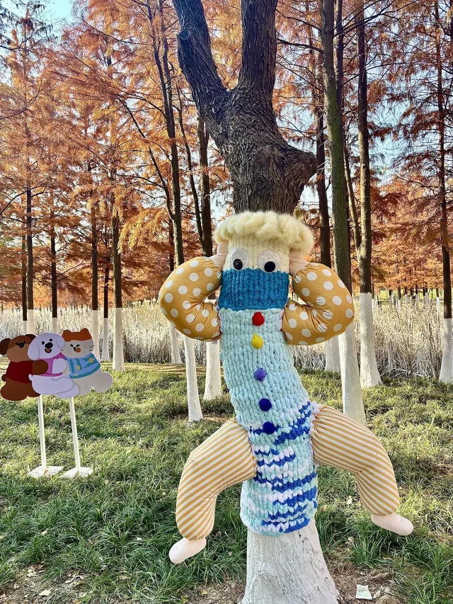 合肥毛衣樹遊園會紅衫林是大自然的調色盤 合肥毛衣樹遊園會紅衫林是大自然的調色盤