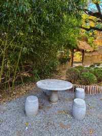 大連兩片超美竹林,第二個很少有人知道