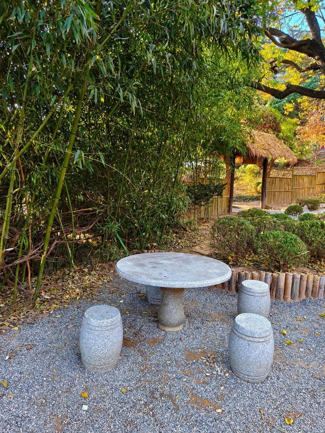 大連兩片超美竹林,第二個很少有人知道 大連兩片超美竹林,第二個很少有人知道