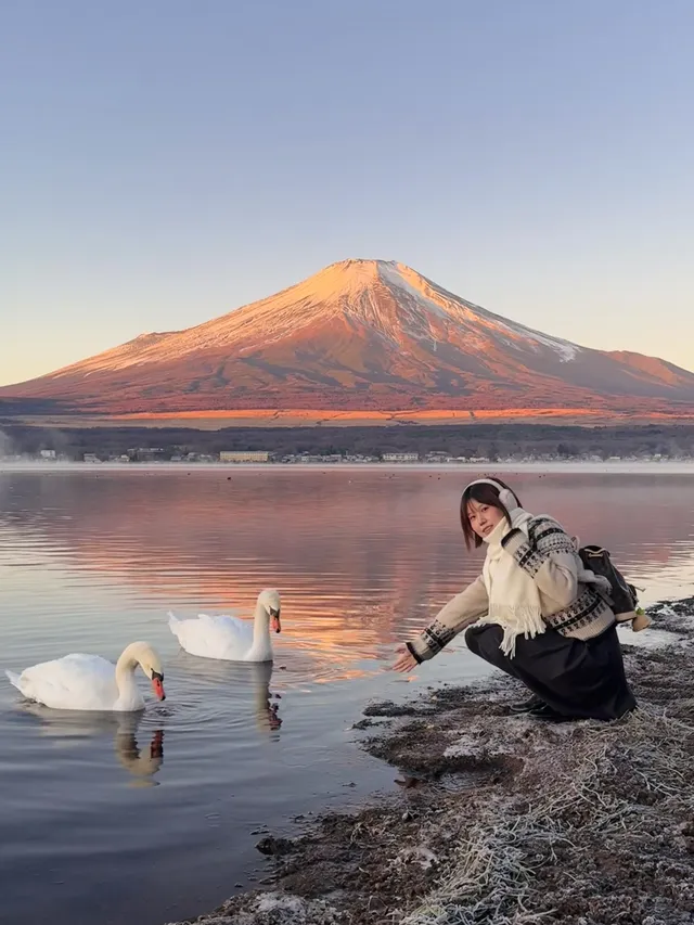 12.7實況live早起會被富士山獎勵粉色日出 12.7實況live早起會被富士山獎勵粉色日出