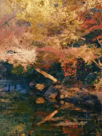 不在京都2025上海賞楓天花板