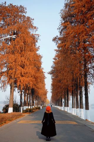 The most beautiful trail at Wuhan East Lake!! Absolutely legendary!! Stunningly beautiful