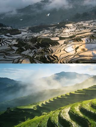 龍脊棚田完全攻略｜雲上の棚田が美しすぎて泣ける！