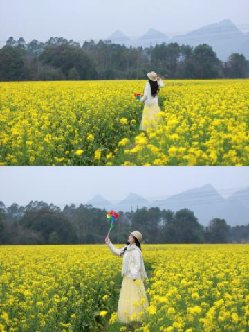 Руководство по фотосъемке в море цветущей рапса в Чанше