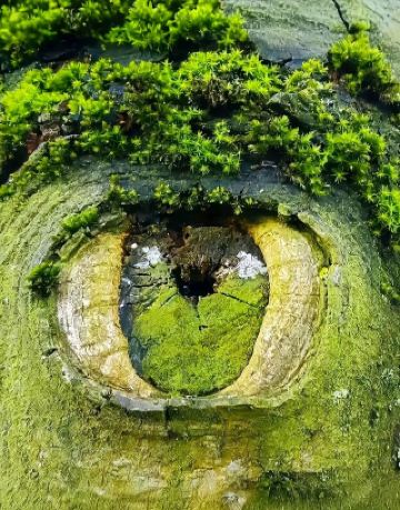 Впечатляет! Кто ещё не видел это чудо "Глаз Земли"?