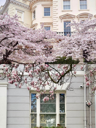 【The Time-Frozen Fog City】Four-Day London Leisure Guide