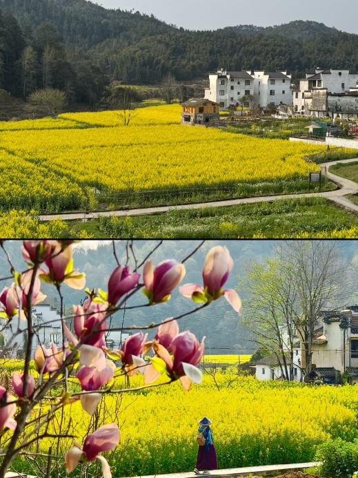 思溪延村 参考图 2