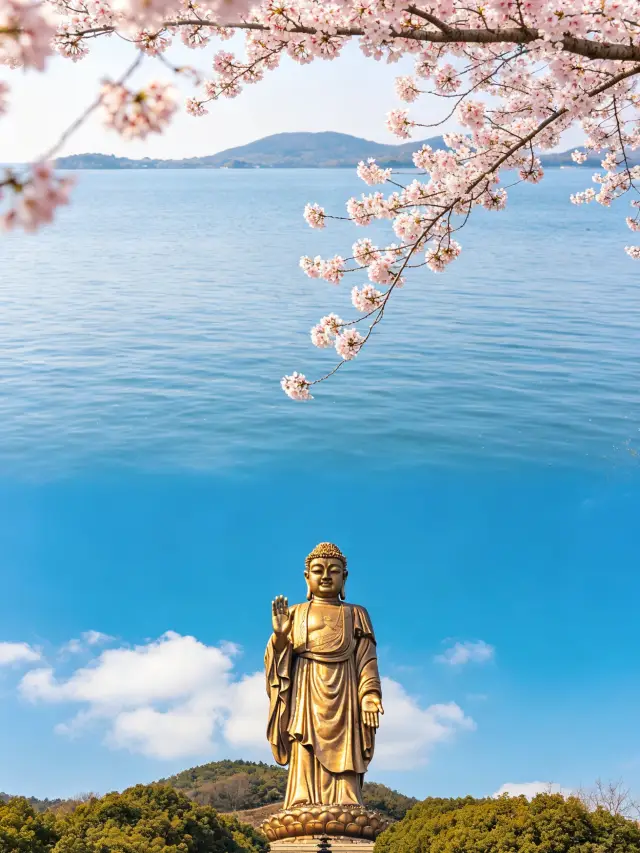 Wuxi, Taihu Lake is just the appetizer, the Lingshan Grand Buddha is the main event
