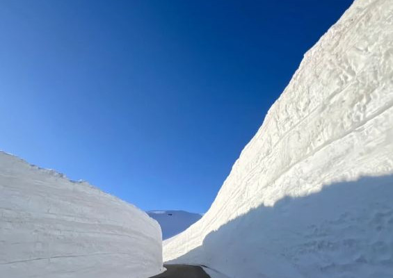 日本の春限定、立山黒部雪の壁カウントダウンチェックイン | Trip.com