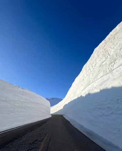 日本の春限定、立山黒部雪の壁カウントダウンチェックイン | Trip.com