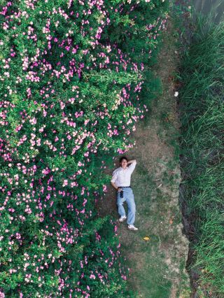Annual breathtaking sea of flowers! This rose wall in Kunshan is stunningly beautiful