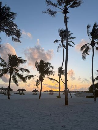 Wonderful Stay with a Preference for Beach Villas