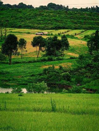 Rustic Stone Courtyard Leisure Time: One-Day Tour of Shiyuanzi, Shuangliu, Chengdu!