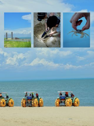 ทริปพักผ่อนที่ไห่โข่ว | ที่พักริมทะเลและสวนมะพร้าวสุดผ่อนคลาย เหมาะสำหรับครอบครัว