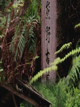 隱匿於紀伊半島的熊野古道｜世界文化遺產2