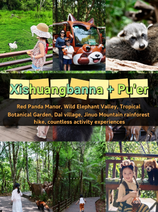 Summer vacation in Xishuangbanna + red panda estate family tour｜Get close to red pandas