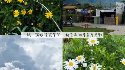 Yunnan family trip 8D7N | Beat the crowds and travel slowly ✨ — traveler post in Baisha