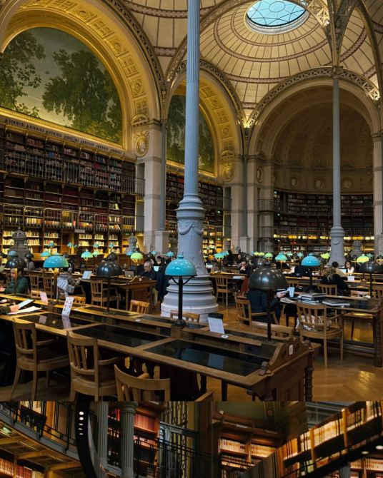 パリで最も素晴らしい穴場、700年の歴史を持つ図書館の美しさに言葉を