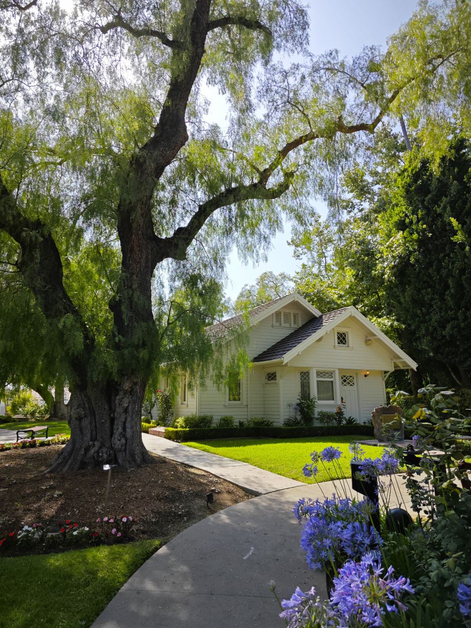 Los Angeles | From Birthplace to Gravesite: The Legendary Life of Nixon