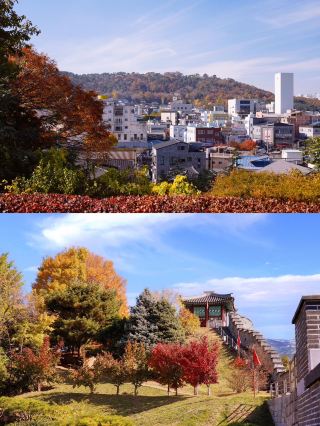A Day Trip from Seoul: Exploring Suwon’s Ancient Walls and Famous Fried Chicken 🍗
