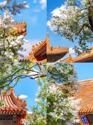 入秋后的京城，把东方古典氛围感拉满[ThumbsUp]   熬过暑气蒸腾的盛夏，步入秋日的北京，才
