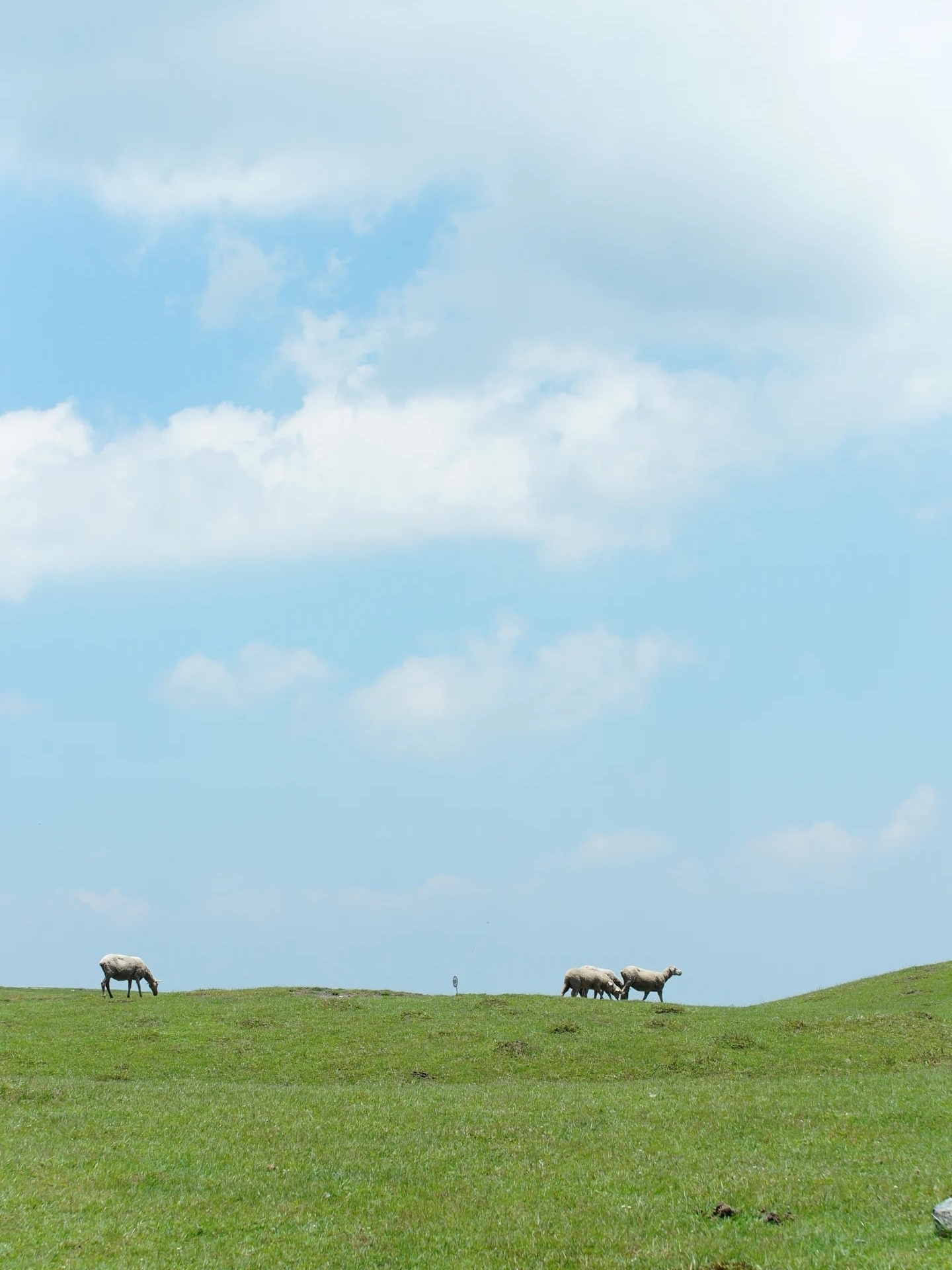 Journey to Axilixi: A Highland Prairie Dream in Rural Guizhou
