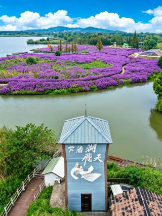 Discover Xiazhu | Certified by National Geographic as the most beautiful wetland, a boat ride through reeds into Jiangnan