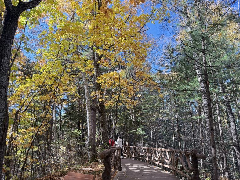 Who knew a group tour could be this relaxing? My experience on the 6-day Harbin and Yichun forest wellness tour